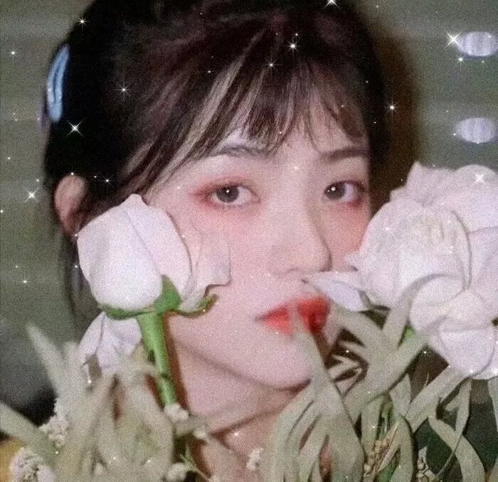 仙王的日常生活第四季